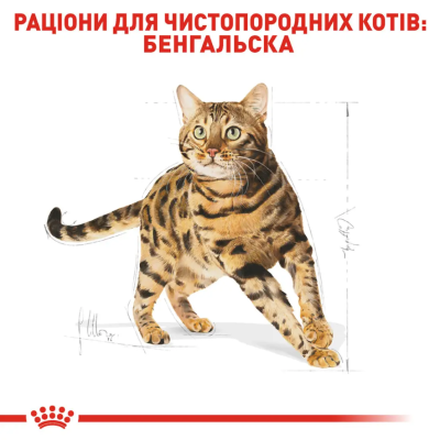 Royal Canin Bengal Adult Сухий повнораціонний корм для бенгальської кішки, 2 кг