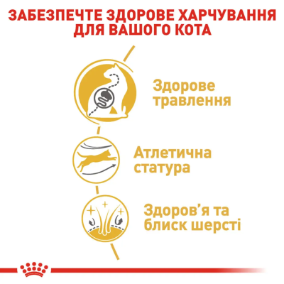 Royal Canin Bengal Adult Сухий повнораціонний корм для бенгальської кішки, 2 кг