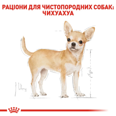 Royal Canin Chihuahua Adult Сухий повнораціонний корм для чихуахуа, 1.5 кг