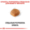 Royal Canin Chihuahua Adult Сухий повнораціонний корм для чихуахуа, 1.5 кг