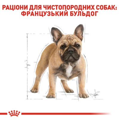 Royal Canin French Bulldog Adult Сухий повнораціонний корм для французького бульдога, 3 кг