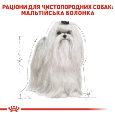 Royal Canin Maltese Adult Сухий повнораціонний корм для мальтійської болонки, 500 г