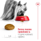 Royal Canin X-Small Adult Сухий повнораціонний корм для собак мініатюрних порід, 1.5 кг