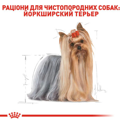 Royal Canin Yorkshire Terrier Adult Сухий повнораціонний корм для йоркширського тер'єра, 1.5 кг
