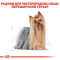 Royal Canin Yorkshire Terrier Adult Сухий повнораціонний корм для йоркширського тер'єра, 1.5 кг