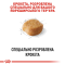 Royal Canin Yorkshire Terrier Adult Сухий повнораціонний корм для йоркширського тер'єра, 1.5 кг