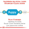 Royal Canin Yorkshire Terrier Puppy Сухий повнораціонний корм для цуценя йоркширського тер'єра до 10 місяців, 500 г