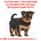 Royal Canin Yorkshire Terrier Puppy Сухий повнораціонний корм для цуценя йоркширського тер'єра до 10 місяців, 500 г