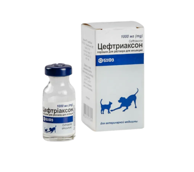 Arterium Антибиотик Цефтриаксон для кошек и собак, 1 г