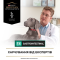 Purina Pro Plan Veterenary Diets EN Gastrointestinal Вологий дієтичний корм для дорослих собак, для усунення розладів травлення, мус 400 г