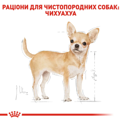 Royal Canin Chihuahua Adult Вологий корм для чихуахуа, 85 г