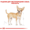 Royal Canin Chihuahua Adult Вологий корм для чихуахуа, 85 г