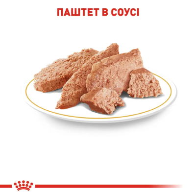 Royal Canin Chihuahua Adult Вологий корм для чихуахуа, 85 г