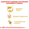 Royal Canin Chihuahua Adult Вологий корм для чихуахуа, 85 г