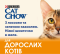 Purina Cat Chow Adult Вологий корм для кішок з лососем і зеленою квасолею, шматочки у підливці 85 г