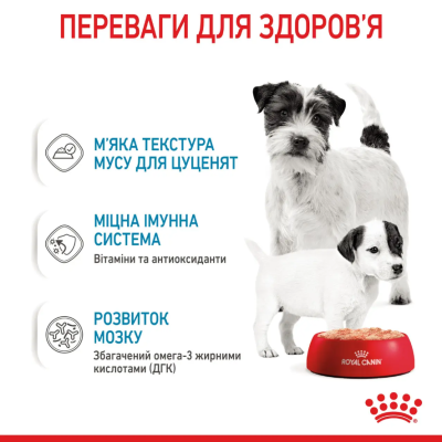 Royal Canin Starter Mousse Консервований корм для вагітних собак і цуценят, 195 г