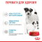 Royal Canin Starter Mousse Консервований корм для вагітних собак і цуценят, 195 г